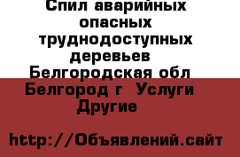 Спил аварийных опасных труднодоступных деревьев - Белгородская обл., Белгород г. Услуги » Другие   